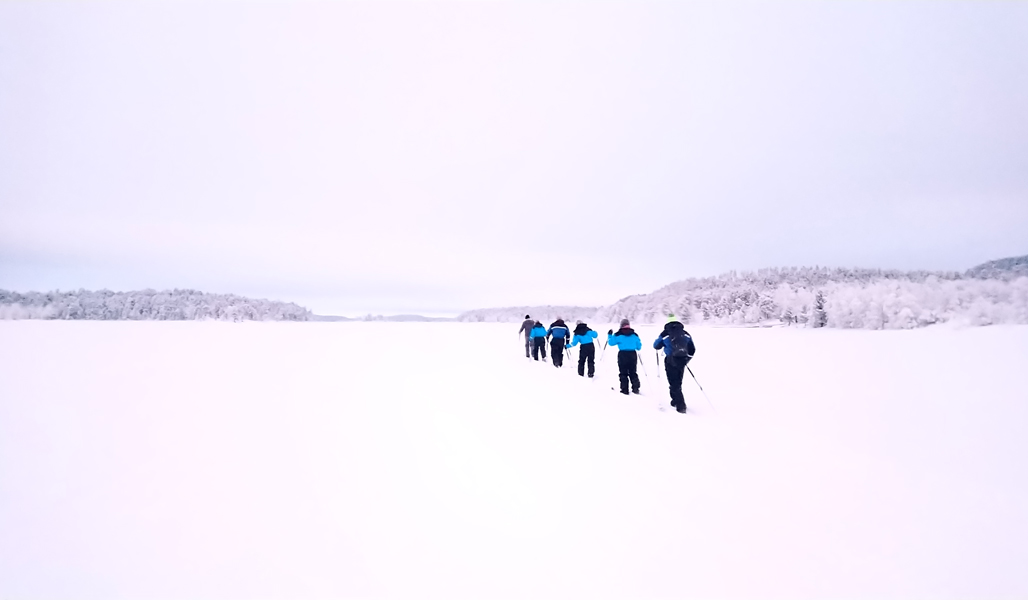 En grupp skidåkare på isen i Lappland.