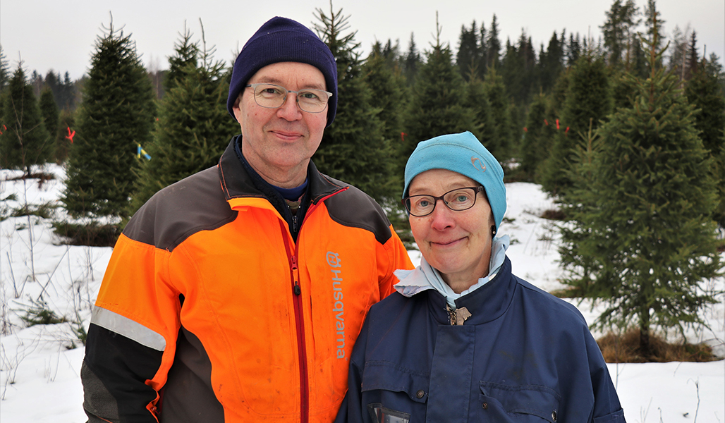 Jarmo och Tuulikki Sirola. i bakgrunden syns granar i julgransodlingen.