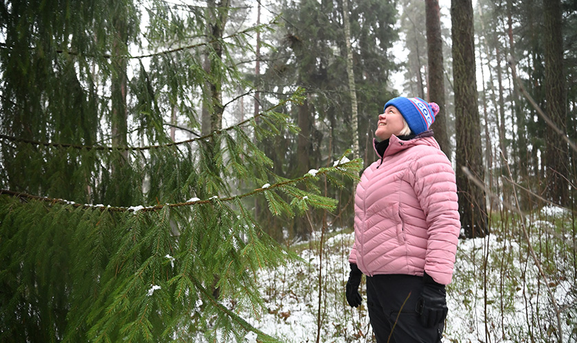 Heli Lehtomäki tittar på träden i skogen. 