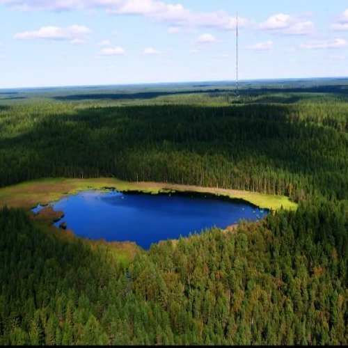 Vesistövaikutukset suometsissä?

Suometsien käytön haitallisia vesistövaikutuksia voidaan vähentää monella tavalla. Vesi...