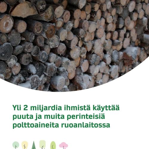 Hyvää maailman metsäpäivää! 🌲 Tänä vuonna päivän teema on metsät ja ruoka. Suomessa määrällisesti tärkein energianlähte...