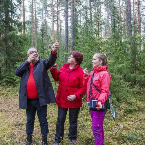 #metsaankurssi Tuttukin metsä saattaa näyttäytyä ihan uudessa valossa, kun tulee metsänomistajaksi.

Metsäkeskuksen Mets...