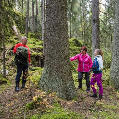 Metsästä on moneksi, ja metsä myös kiinnostaa monia. Metsäkeskusta seuraa Instagramissa jo 3 000 metsästä ja metsäasiois...