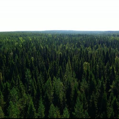 Suomi on tuhansien soiden maa. 

Suometsissä on merkittävä puuvaranto, jota on mahdollista hyödyntää kestävästi. Puun ko...