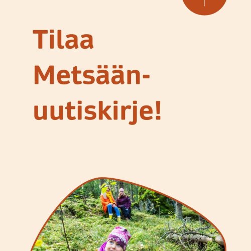 Omistatko metsää tai oletko muista syistä kiinnostunut metsäasioista? 🌲🌳🍁 Tilaa Metsäkeskuksen Metsään-uutiskirje ja ...