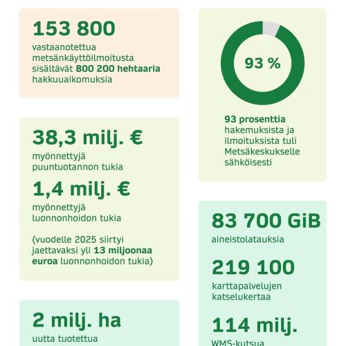 Millainen oli Metsäkeskuksen vuosi 2024? 🌲 Metsänkäyttöilmoitusten perusteella yksityismetsien hakkuuaikomukset nousiva...