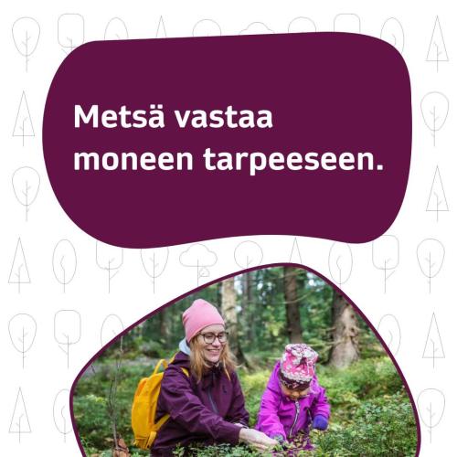 Miksi sinä omistat metsää? Tuoko metsä sinulle virkistysarvoja, taloudellista hyötyä, luonnon monimuotoisuutta vai näide...