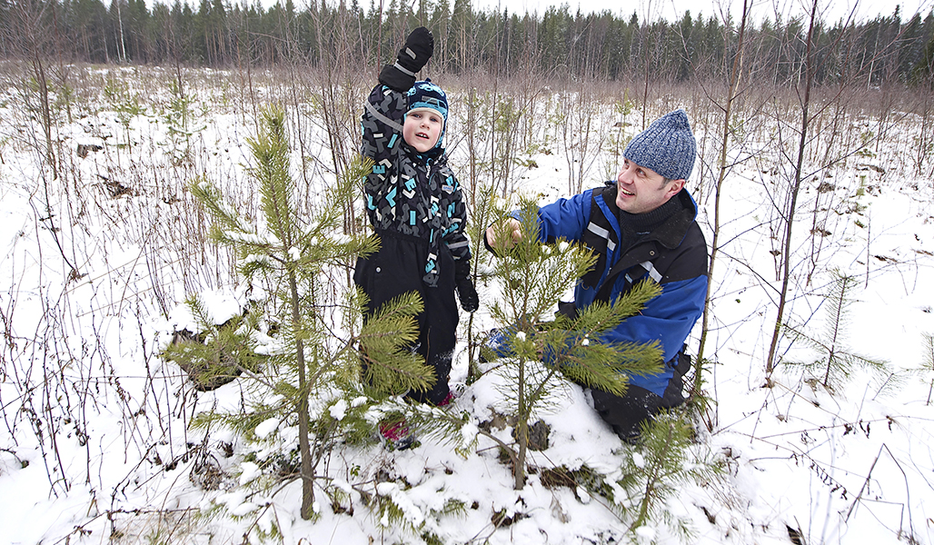 Ett litet barn och en vuxen tittar på en trädplanta i skogen på vintern.