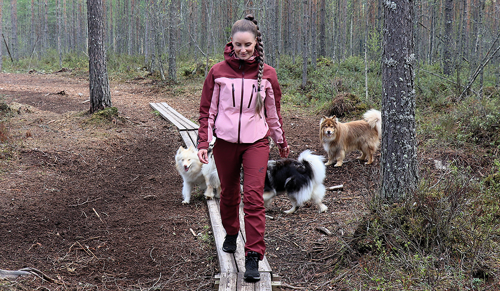 Sara Ala-Luoma går längs spångarna i hundskogen tillsammans med sina hundar.