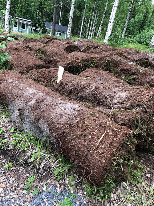 Rullar med skogsbotten på gården.