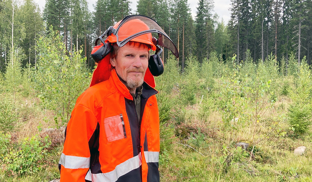 Skogsarbetaren Esa Lappi i sina skyddskläder i en skött plantskog.