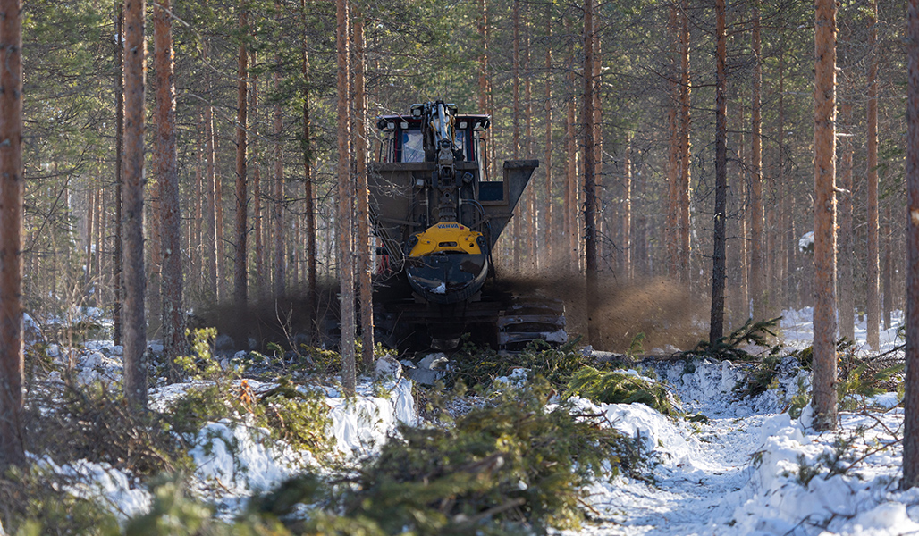 En skogstraktor sprider ut aska som gödsel i skogen på vintern.