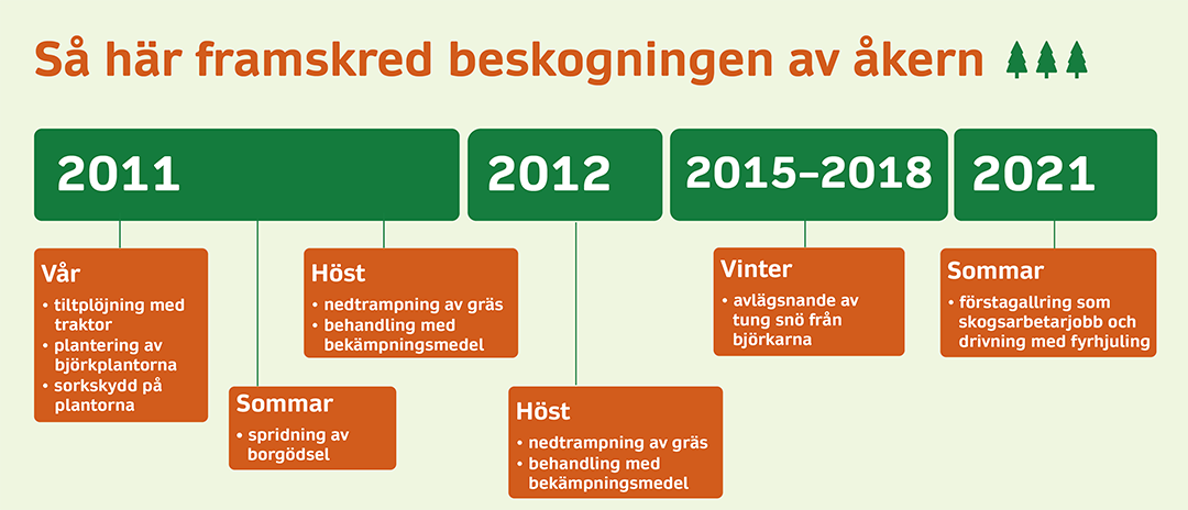 Graften visar en tidsserie om hur beskogningen av åkern framskred: Våren 2011 tiltplöjning, plantering och utplacering av sorkskydd. Sommaren samma år, borgödsling, på hösten nedtrampning av gräs, behandling med bekämpningsmedel. Höften 2012 nedtrampning av gräs och behandling med bekämpningsmedel, Åren 2015-2018, avlägsnande av snö från björkarna, sommaren 2021 förstagallring och virkesdrivning med fyrhjuling.