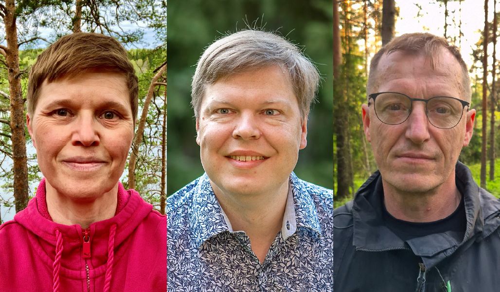I bildkollaget Alisa Puustinen, Teppo Hujala och Markku Remes