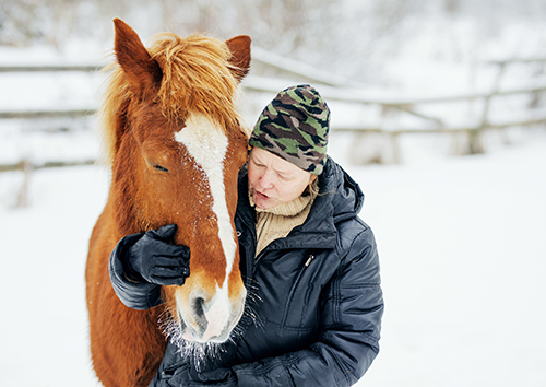 3.	Virpi Saarela fotograferad med sin finska häst ute i en hage på vintern.