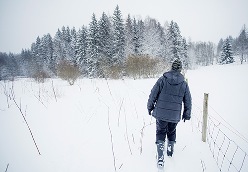 Virpi Saarela går i den djupa snön längs ett fårstängsel mot skogen som syns längre bort.