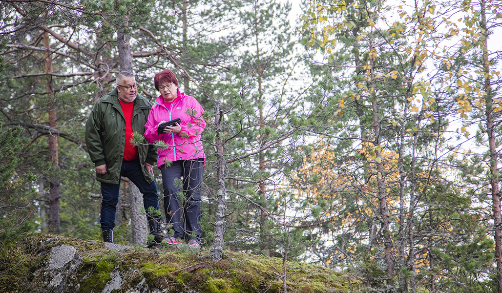 En man och en kvinna tittar på en surfplatta tillsammans i skogen. 