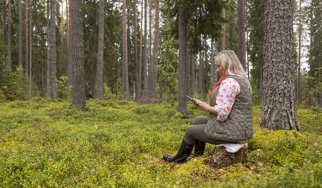 En kvinna sitter på en stubbe i skogen och tittar på telefonen. 
