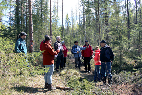Aino Ässämäki och sju skogsägare tittar på resultatet av en plockhuggning i skogen.