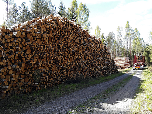 Två höga staplar med virke står vid en skogsväg. Längre bort syns en virkestransportbil.