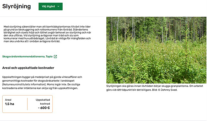 Skärmbild från MinSkog.fi som visar förslag på slyröjning. 