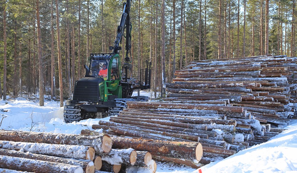 En avverkningsmaskin bredvid en virkestrave på vintern.