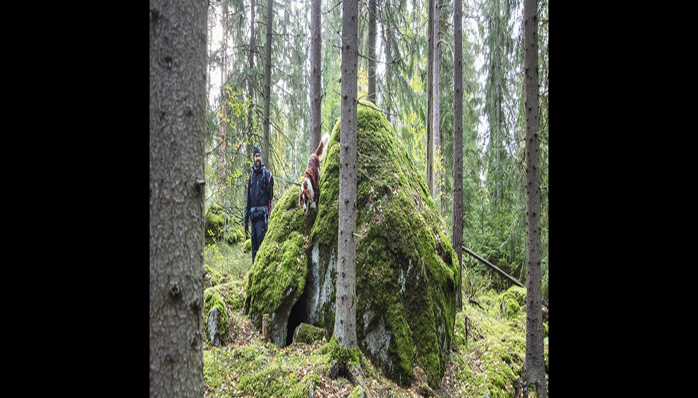 Skogsarbete, rekreation och nya produkter
