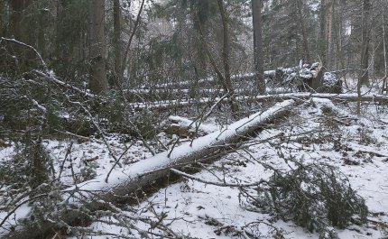 Vad ska man göra efter en storm? – kom ihåg dessa fem saker