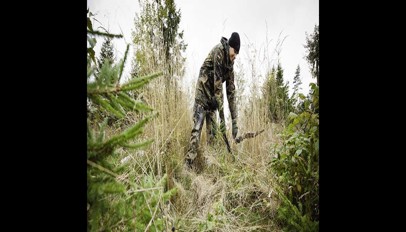 Skogsägare, kom ihåg dessa fem saker på hösten