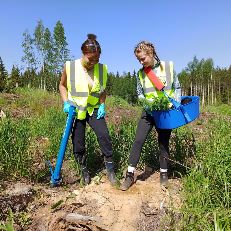 Två ungdomar trampar jorden runt en planta som de precis planterat.