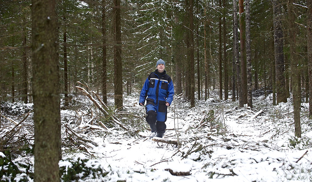 En person rör sig i en skog där det finns lite snö på marken.