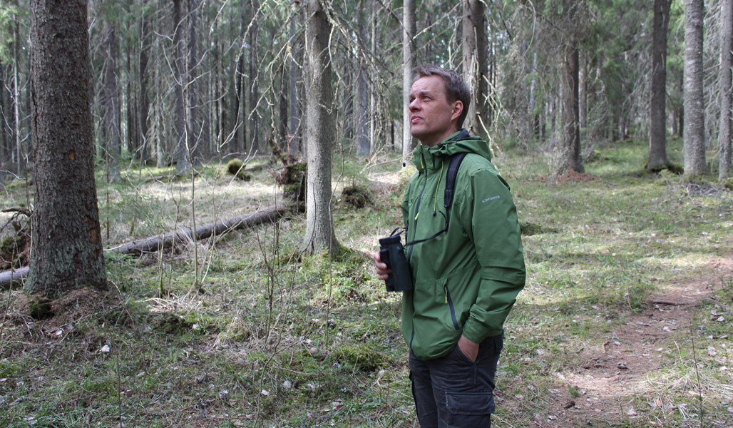 Naturvårdsexperten Jukka Ruutiainen står i skogen med en kikare i handen.