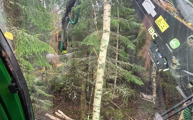 En flerprocessmaskin skapar en högstubbe i skogen. 