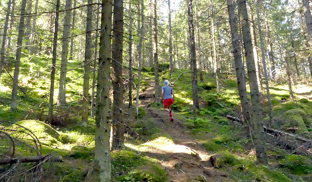 2.	Saara Grönholm fotograferad bakifrån när hon springer längs stigen uppför en backe.