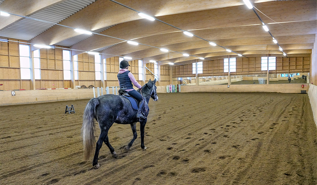 En ryttare och häst tränar i en manege av trä.