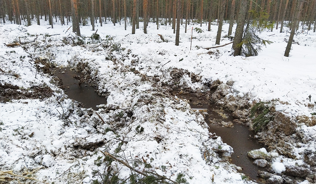 Djupa spår efter en skogsmaskin på viontern. 