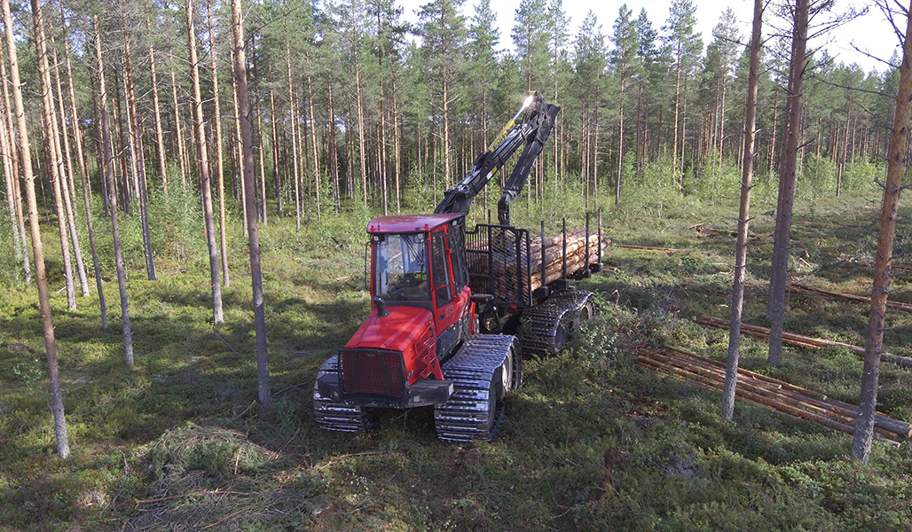 En maskin samlar ihop träd efter en korridorgallring.