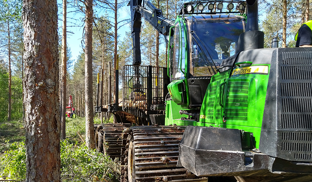 En skotare med bärande larvband samlar fällda träd i skogen.