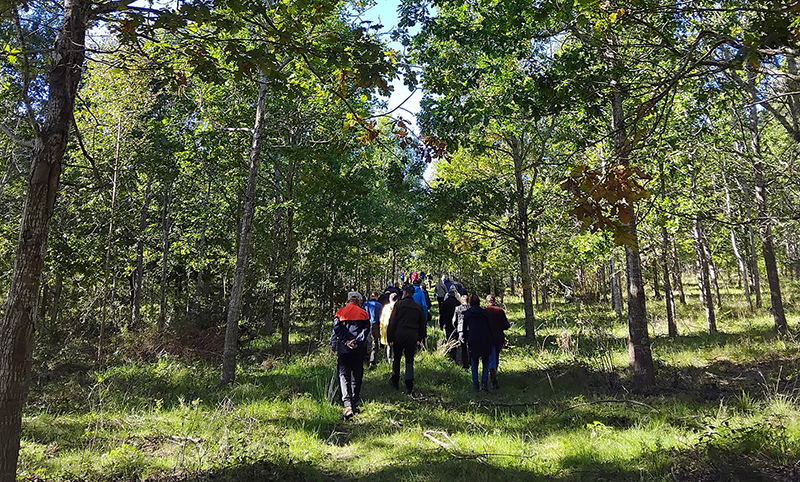 Friluftsmänniskor i en ekskog