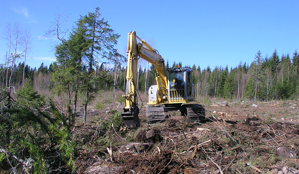 En gul grävmaskin bearbetar marken på en förnyelseyta i skogen.