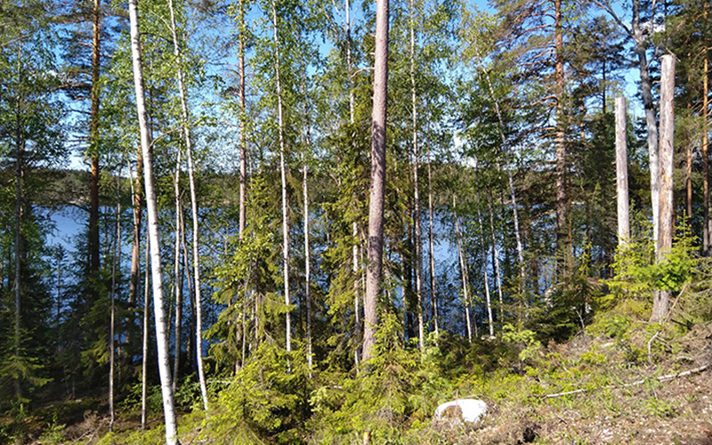 Skyddszon vid en sjöstrand