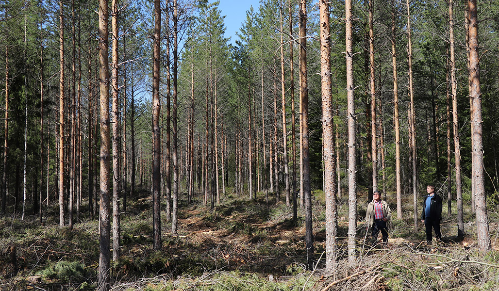 två män i skogen