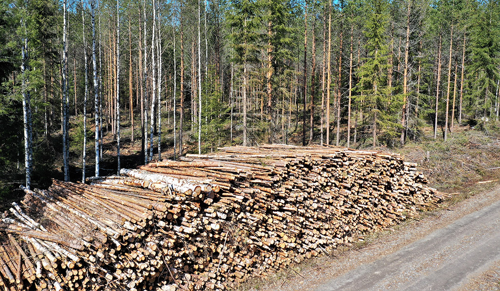 vedhög i skogen