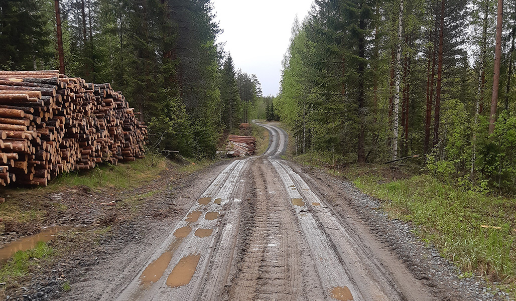 Metsätie, jonka varressa on puupinoja. Tiessä on kuoppia, joihin on jäänyt vettä.